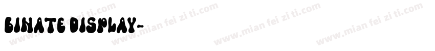 Binate Display字体转换